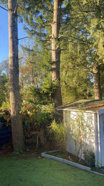 Boutique Chalet Veluwe プッテン エクステリア 写真
