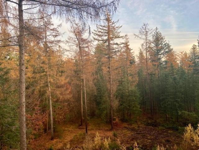 Boutique Chalet Veluwe プッテン エクステリア 写真